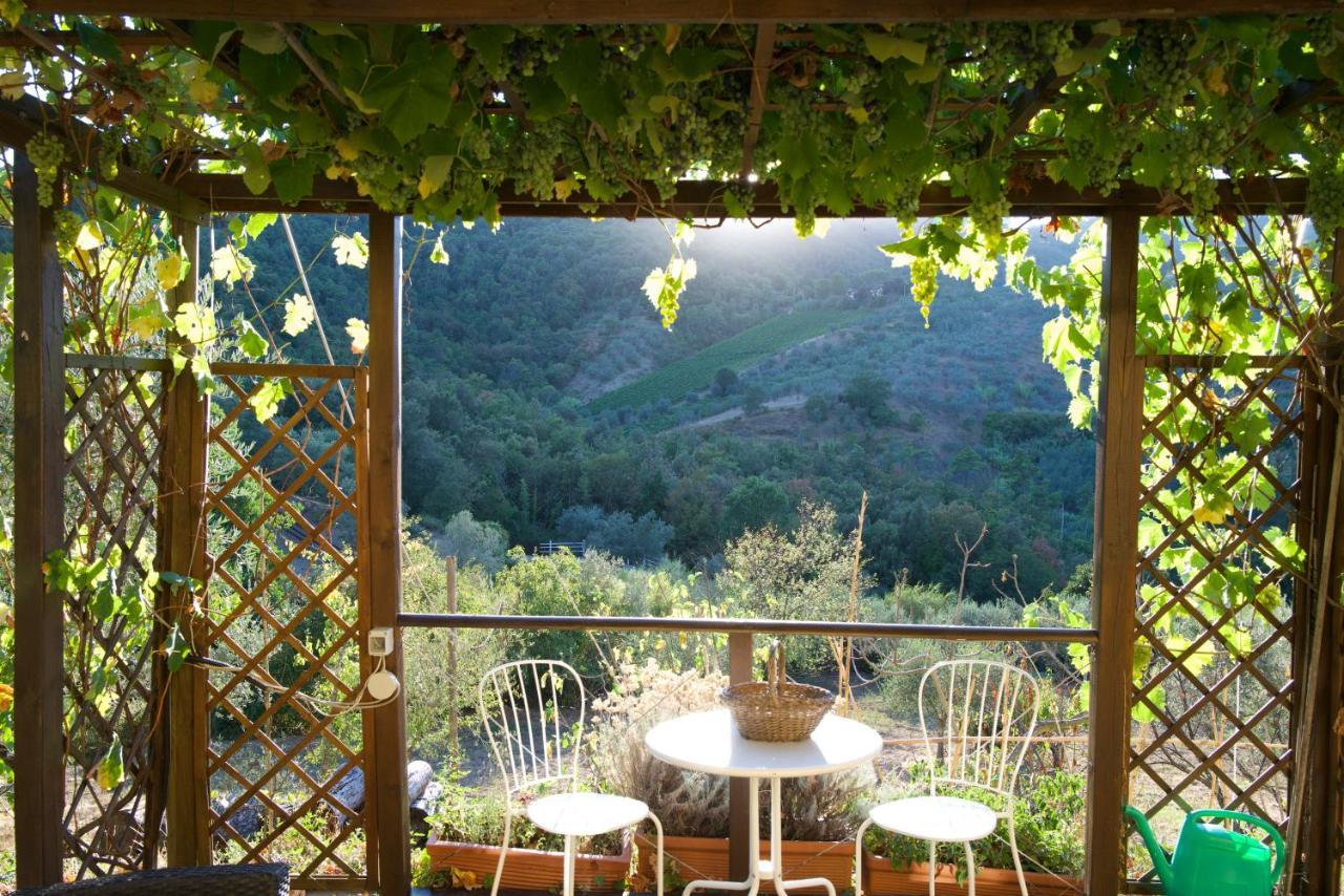 Barco Mediceo B&B In Toscana Carmignano Exterior photo